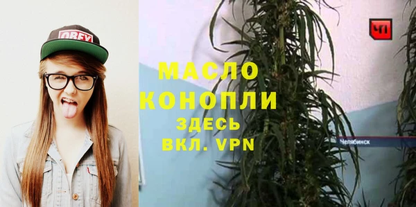 гидра Михайлов
