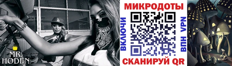 Купить  Красный Сулин  Галлюциногенные грибы Magic Shrooms 